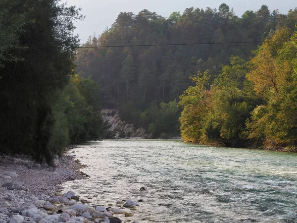 Een Rivier Omringd Door Gebladerte Bossen — Stockfoto