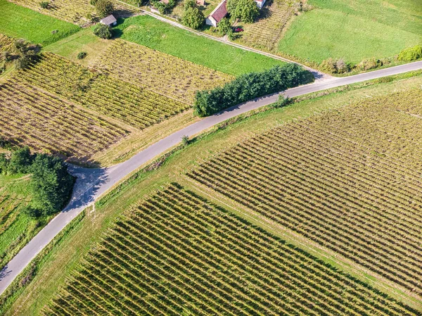 Uma Vista Aérea Paisagem Das Terras Agrícolas Campo — Fotografia de Stock