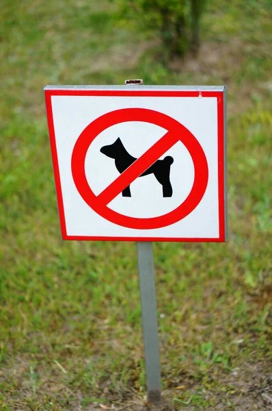 Вертикальный Снимок Знака Никаких Собак Разрешено — стоковое фото