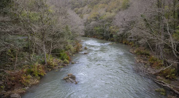 Río Rodeado Árboles Parque Natural Fragas Eume Galicia España Otoño — Foto de Stock