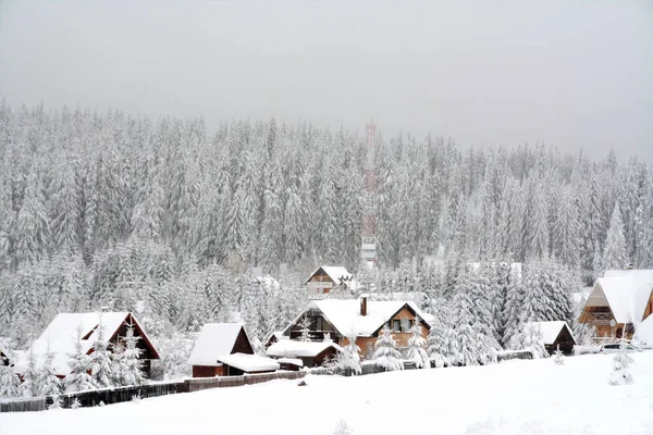 Zachwycające Ujęcie Przytulnych Drewnianych Domów Otoczony Śnieżnymi Jodłami — Zdjęcie stockowe