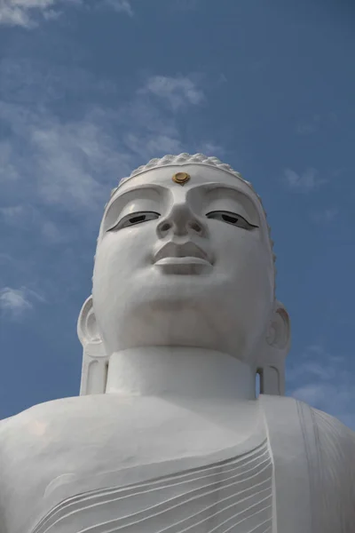 Alacsony Látószögű Kilátás Bahirawakanda Vihara Buddha Szoborra Kandy Srí Lankán — Stock Fotó