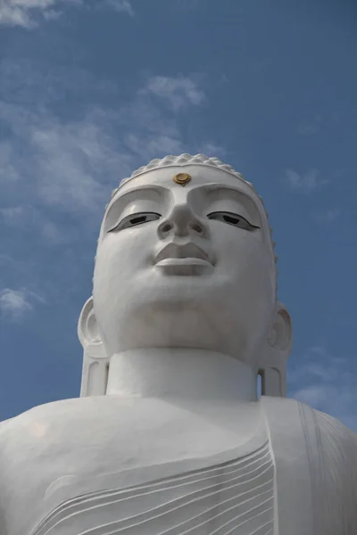 Ein Niedriger Blickwinkel Auf Die Bahirawakanda Vihara Buddha Statue Kandy — Stockfoto