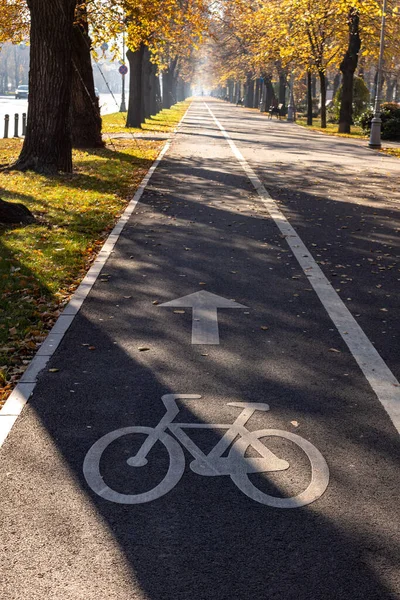 秋天公园里一条空荡荡的自行车道的垂直截图 — 图库照片