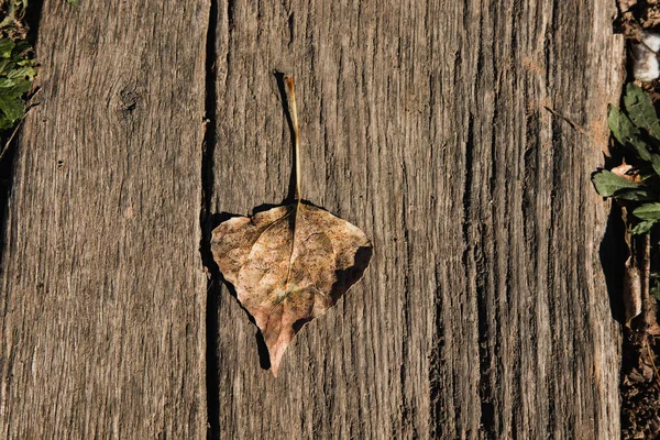 Detailní Záběr Suchého Podzimního Listu Starých Dřevěných Prknech — Stock fotografie