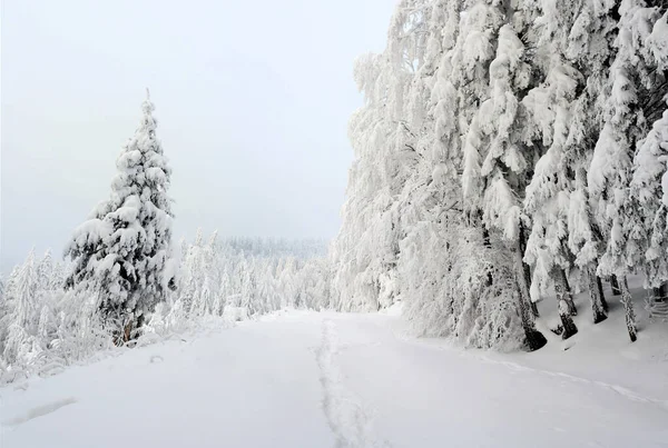 Över Turistvägen Bergen Vintern — Stockfoto