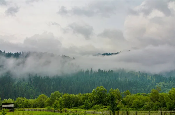 Ein Schöner Schuss Nebel Über Den Bergen Nach Dem Regen — Stockfoto