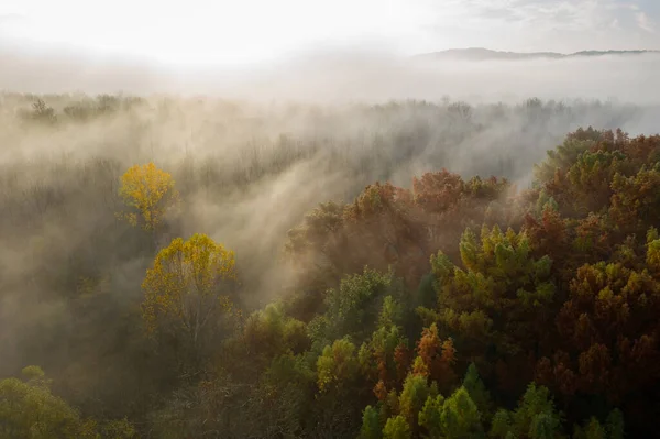 一个美丽的空中拍摄的树木覆盖的山周围有雾 — 图库照片