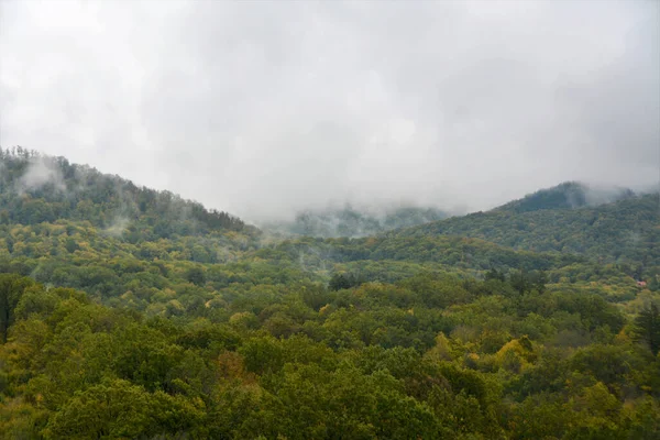 Krásný Záběr Mlhy Nad Lesem Hornaté Oblasti — Stock fotografie