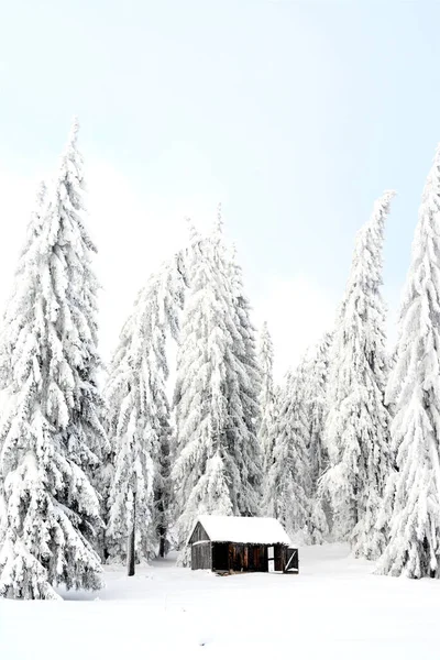 Över Ett Litet Hus Ett Vinterlandskap Med Djup Snö — Stockfoto