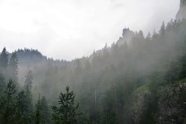 Bel Colpo Nebbia Sulle Montagne Dopo Pioggia — Foto Stock