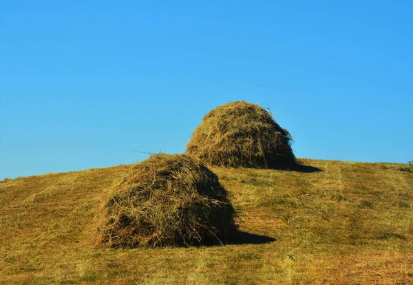 Straw Rolls Fields — Stock Photo, Image