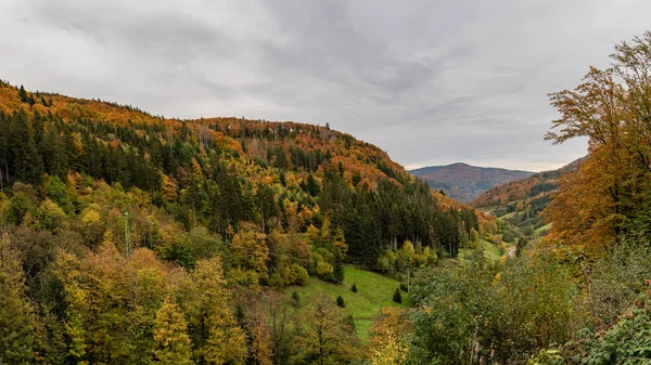 Живописный Вид Шварцвальд Германии Живописная Осень Осенью — стоковое фото