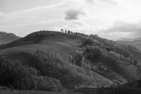 罗马尼亚特兰西瓦尼亚阿普塞尼山脉美丽风景的灰度照片 — 图库照片