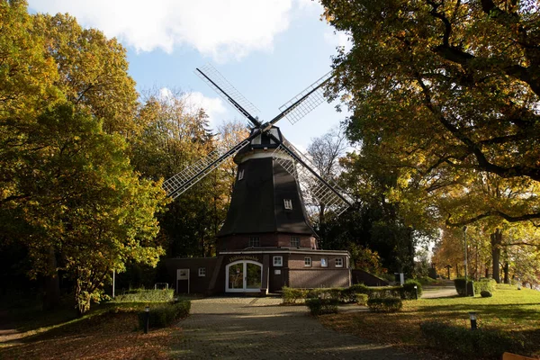 Gammal Väderkvarn Omgiven Frodig Vegetation Meppen Emsland Tyskland — Stockfoto