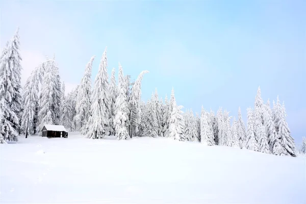 Вид Небольшой Дом Зимнем Пейзаже Глубоким Снегом — стоковое фото