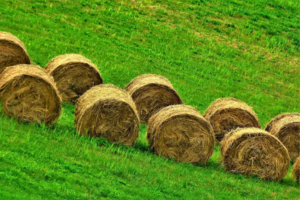 Paja Rueda Los Campos —  Fotos de Stock