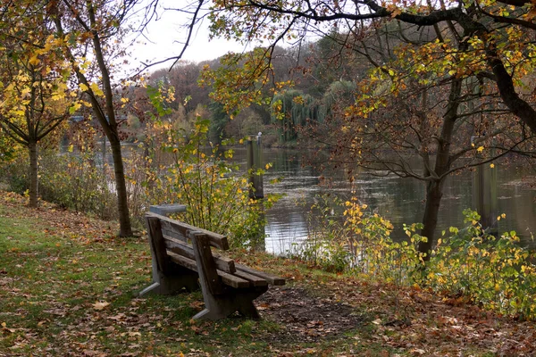 Empty Wooden Bench River Autumn Meppen Emsland — Stock Photo, Image