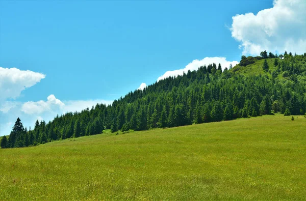 Landscape Green Field Trees Hill Cloudy Sky — Stock Photo, Image