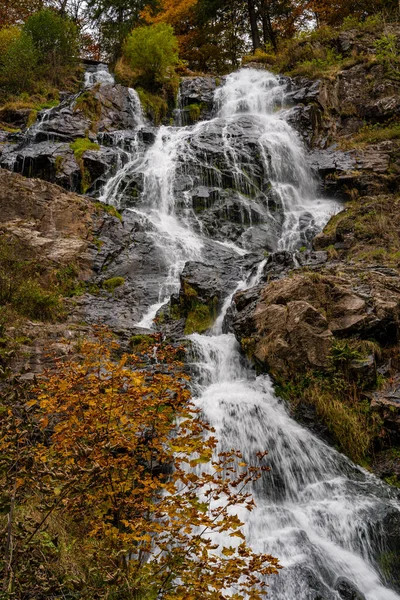 德国黑森林中风景如画的瀑布陶德瑙的美丽照片 — 图库照片