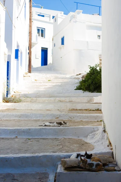 希腊通往白色建筑的垂直楼梯 — 图库照片