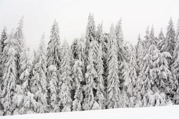 Mesmerizing Shot Beautiful Winter Landscape Cloudy Day — Stock Photo, Image