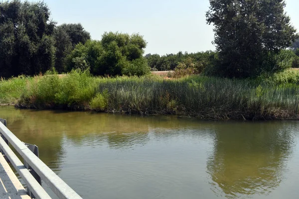 Beautiful Shot Small Pond Water Surrounded Lush Vegetation — Stock Photo, Image