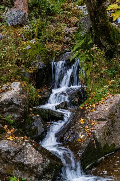 Bellissimo Scatto Della Pittoresca Cascata Todtnau Nella Foresta Nera Germania — Foto Stock
