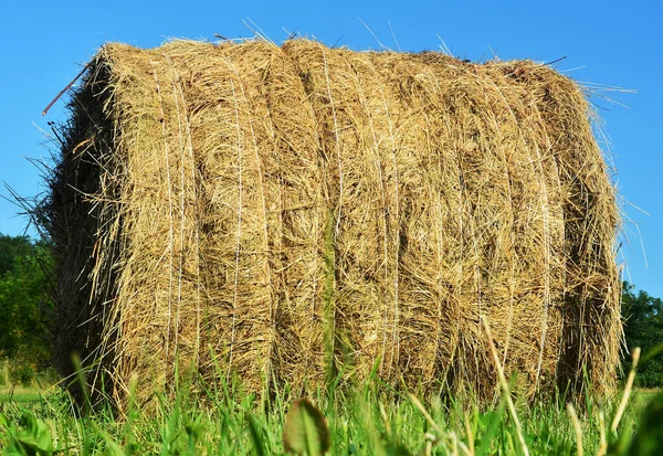 Egy Közeli Felvétel Szalmatekercsről Pályán — Stock Fotó