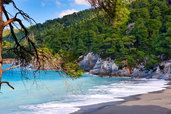 Uma Bela Vista Uma Praia Kastani Ilha Skopelos Grécia — Fotografia de Stock