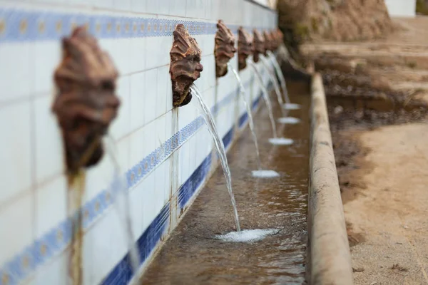 Selective Focus Shot Fuente Del Hierro Spain — Stock Photo, Image