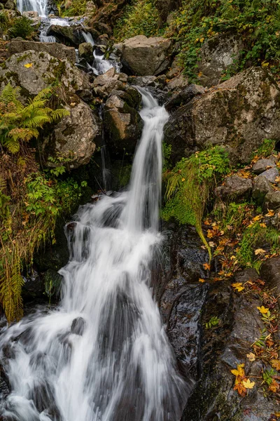 Krásný Snímek Malebného Vodopádu Todtnau Černém Lese Německo — Stock fotografie