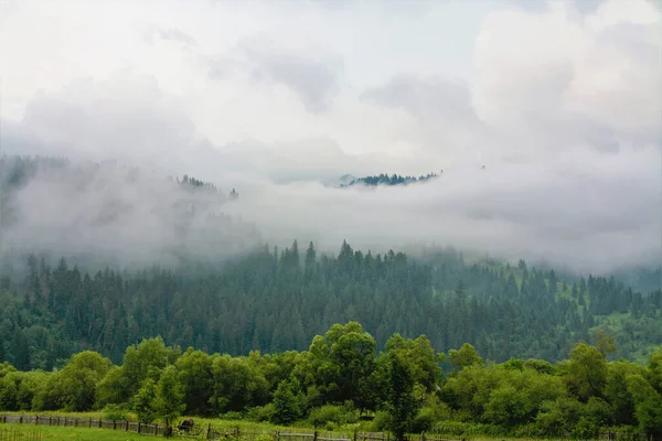 Ein Schöner Schuss Nebel Über Den Bergen Nach Dem Regen — Stockfoto