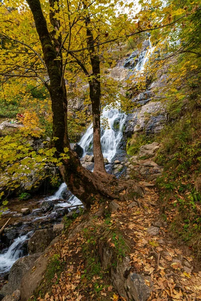 Una Hermosa Toma Pintoresca Cascada Todtnau Selva Negra Alemania — Foto de Stock