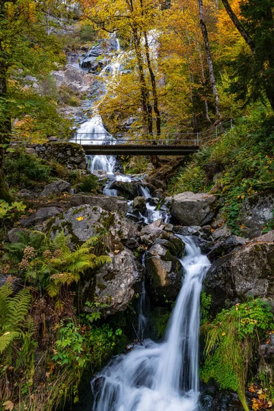 Een Prachtige Opname Van Pittoreske Waterval Todtnau Het Zwarte Woud — Stockfoto