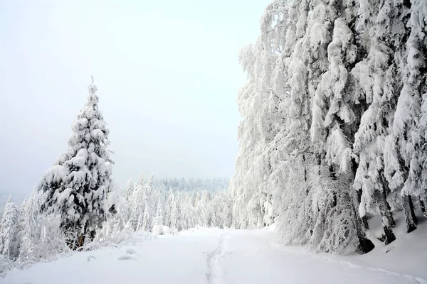 Una Vista Ruta Turística Las Montañas Durante Invierno —  Fotos de Stock