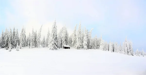 Blick Auf Ein Kleines Haus Einer Winterlandschaft Mit Tiefschnee — Stockfoto