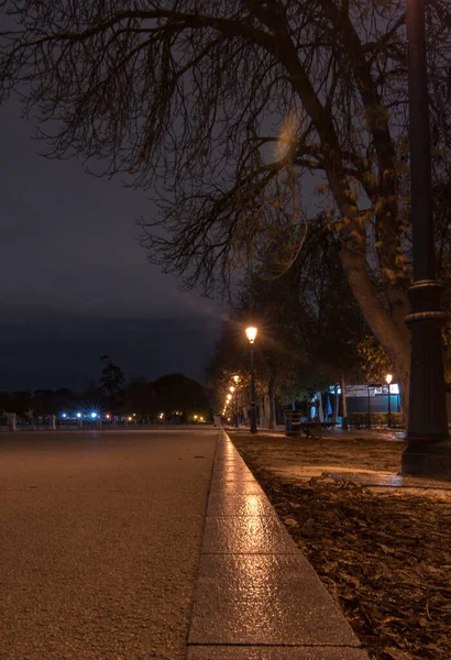 街路灯が灯された夜の都市の垂直ショット — ストック写真