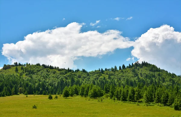 Paisaje Campo Verde Con Árboles Una Colina Bajo Cielo Nublado — Foto de Stock
