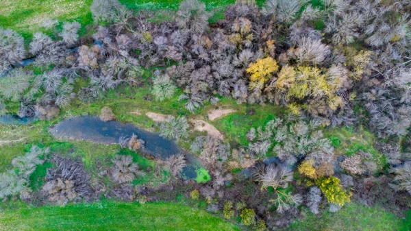 Letecký Záběr Stromů Farmě Venkově — Stock fotografie