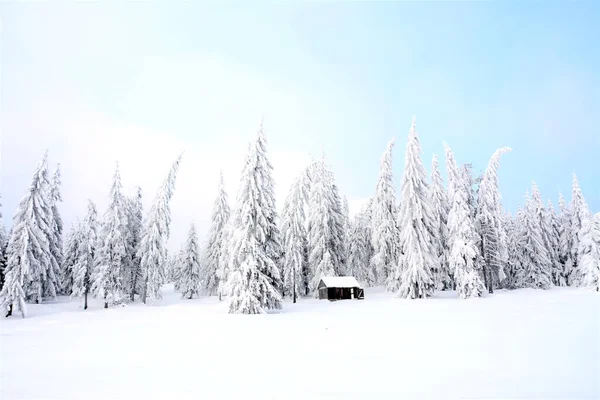 Una Vista Una Pequeña Casa Paisaje Invierno Con Nieve Profunda —  Fotos de Stock