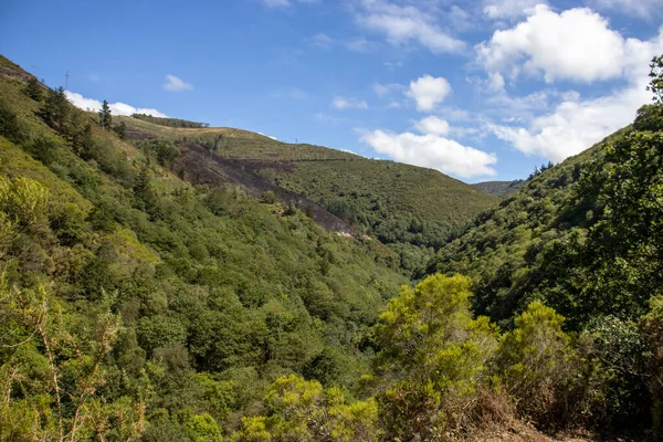 Eine Wunderschöne Waldlandschaft Taramundi Spanien Einem Sonnigen Tag — Stockfoto