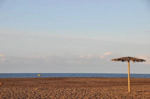 Plan Envoûtant Une Plage Sable Avec Parasol Palmier Tropical — Photo