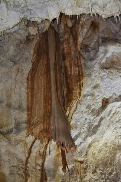 Björngrotta Från Byn Chiscau Bihor County Rumänien — Stockfoto