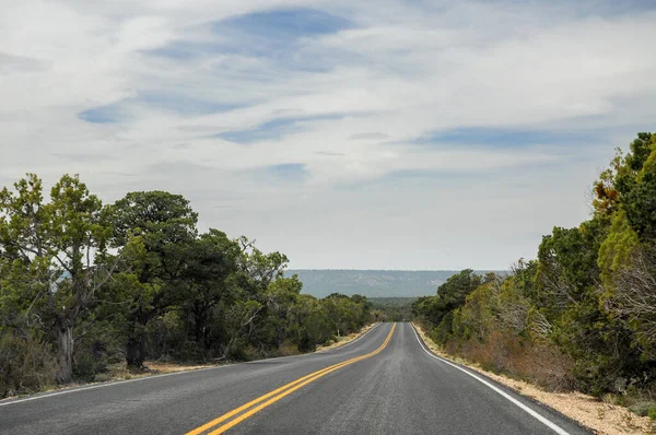 Very Straight Road Going Grand Canyon National Park Some Clouds — Stock Photo, Image