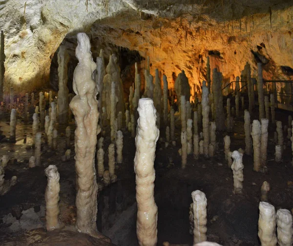 Grotte Ours Village Chiscau Comté Bihor Roumanie — Photo