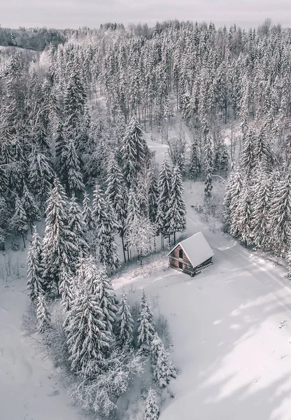 Letecký Pohled Krásnou Zimní Krajinu Jedlemi Chatou Pokrytou Sněhem — Stock fotografie