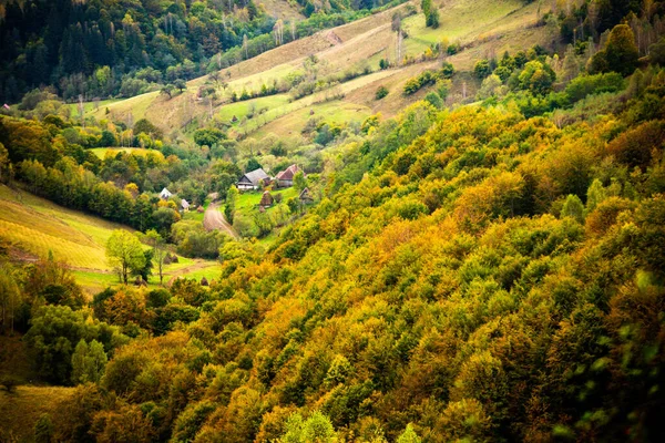 Ένα Όμορφο Καταπράσινο Τοπίο Ένα Χωριό Στα Βουνά Apuseni Ρουμανία — Φωτογραφία Αρχείου