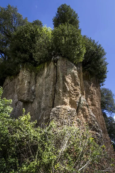 Вертикальний Низький Кут Гірської Породи Деревами Зверху — стокове фото