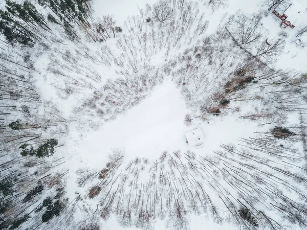 雪に覆われたモミの木や家と美しい冬の風景の空中写真 — ストック写真